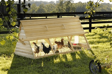 Folding unit poultry system