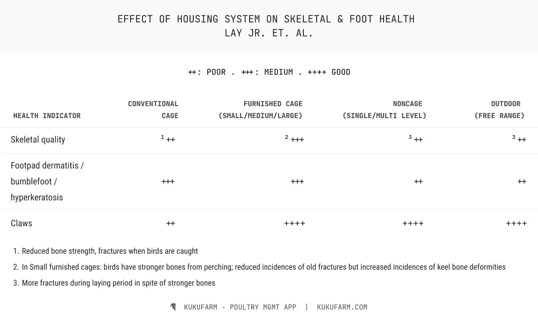 Effect of housing system on poultry foot and skeletal health