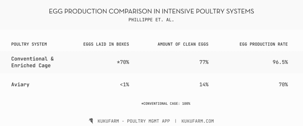 5 Challenges in poultry farming and how to address them - Kukufarm