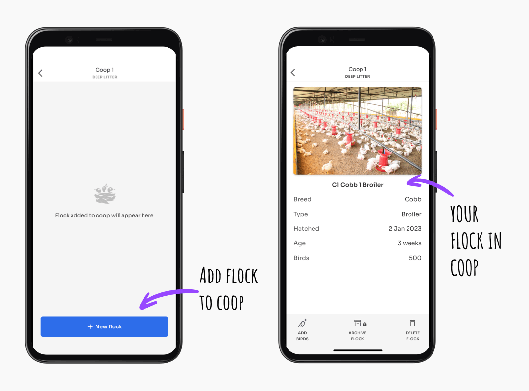 Kukufarm - poultry management app - Add and view flock details