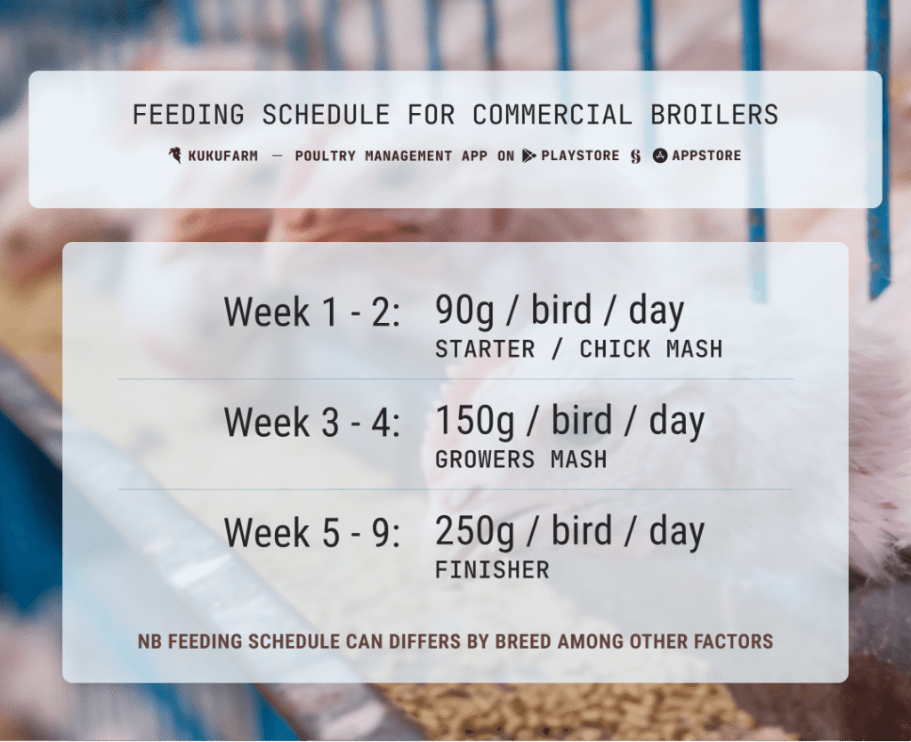 Generic poultry feeding schedule for commercial broiler flock