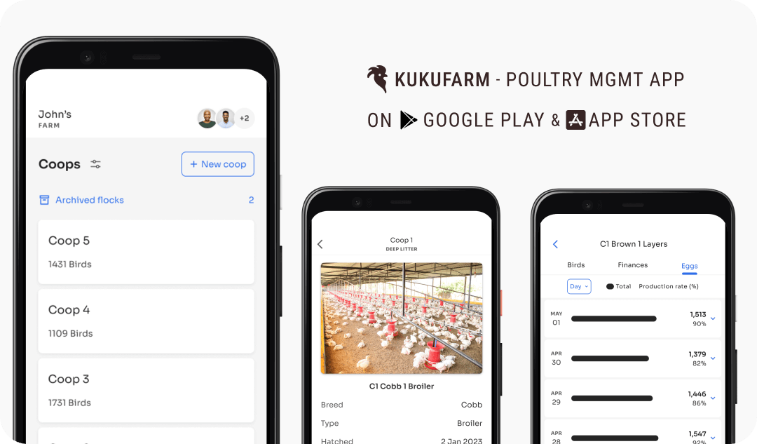 Kukufarm poultry app - poultry farming