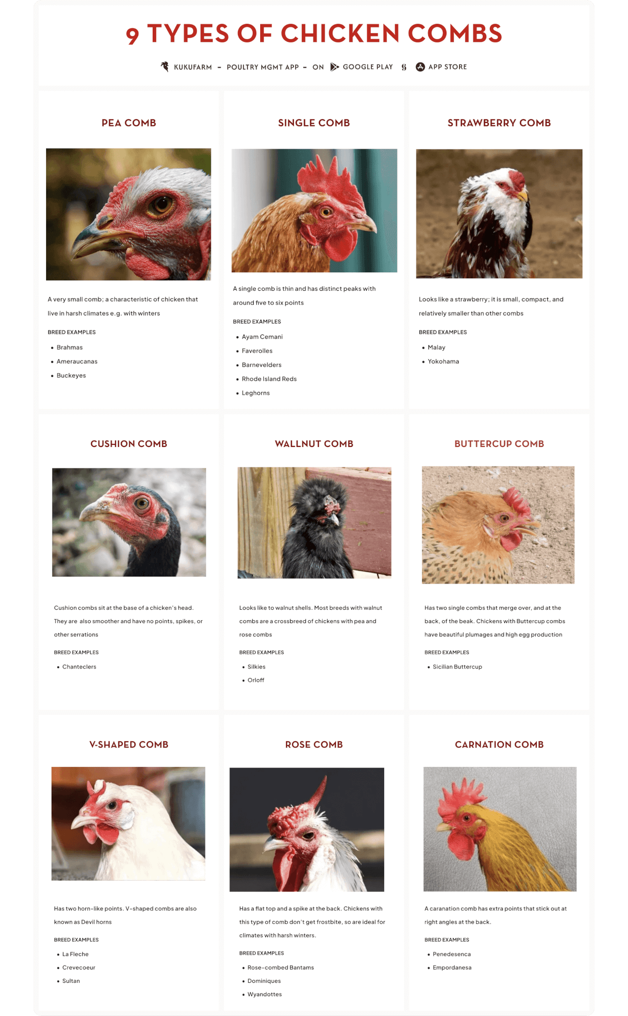 types of chicken combs